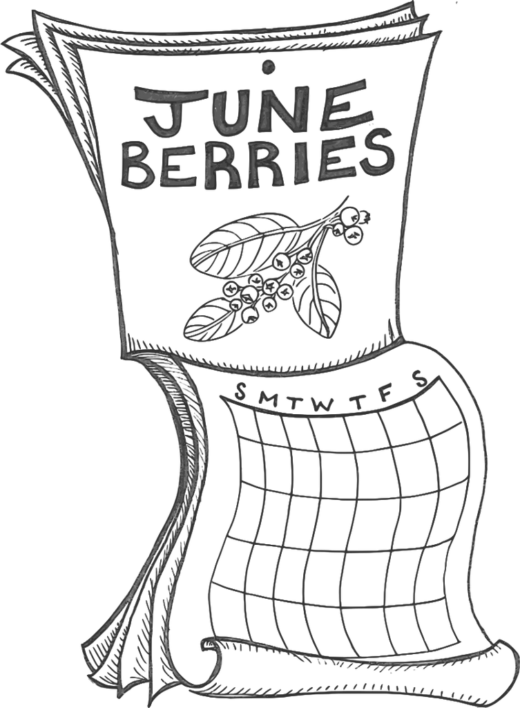 Lee #3 Juneberry