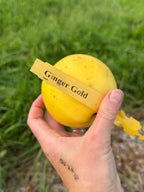 Ginger Gold Apple
