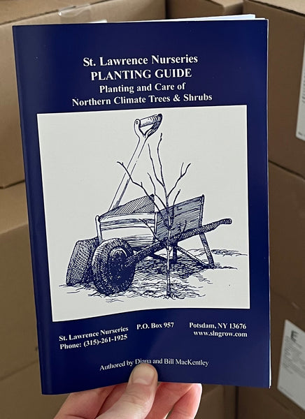 SLN Planting Guide