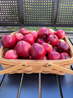 Viking Apple