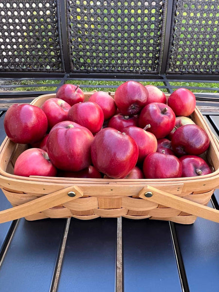 Viking Apple