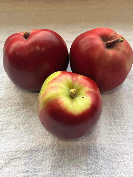 Viking Apple