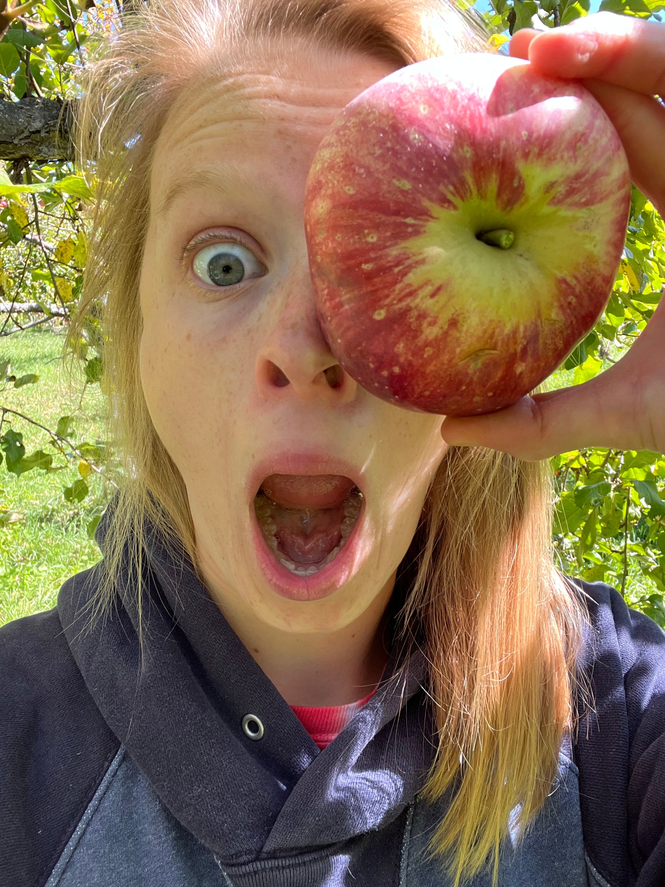 Wolf River Apple