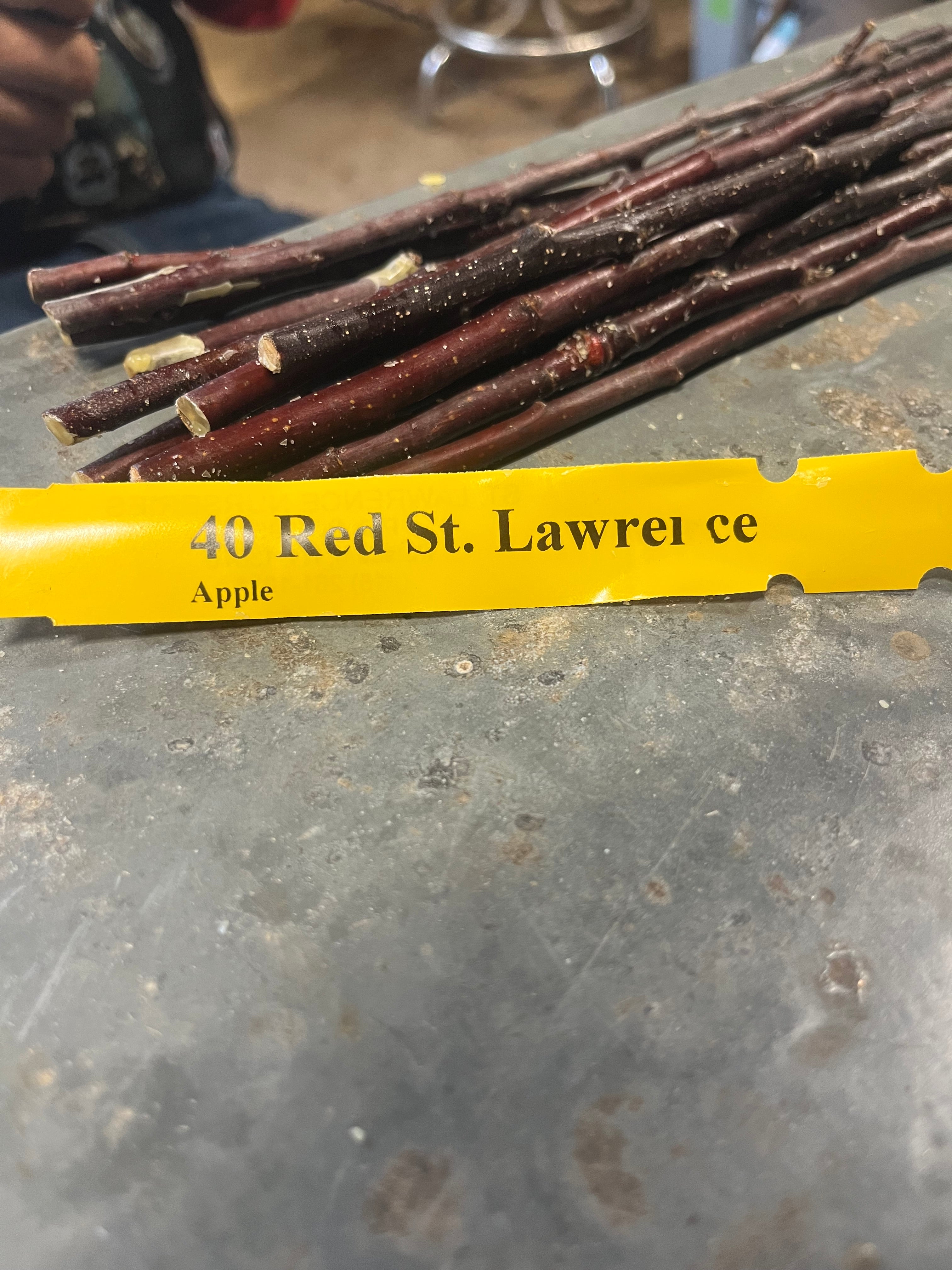 Red St. Lawrence Apple
