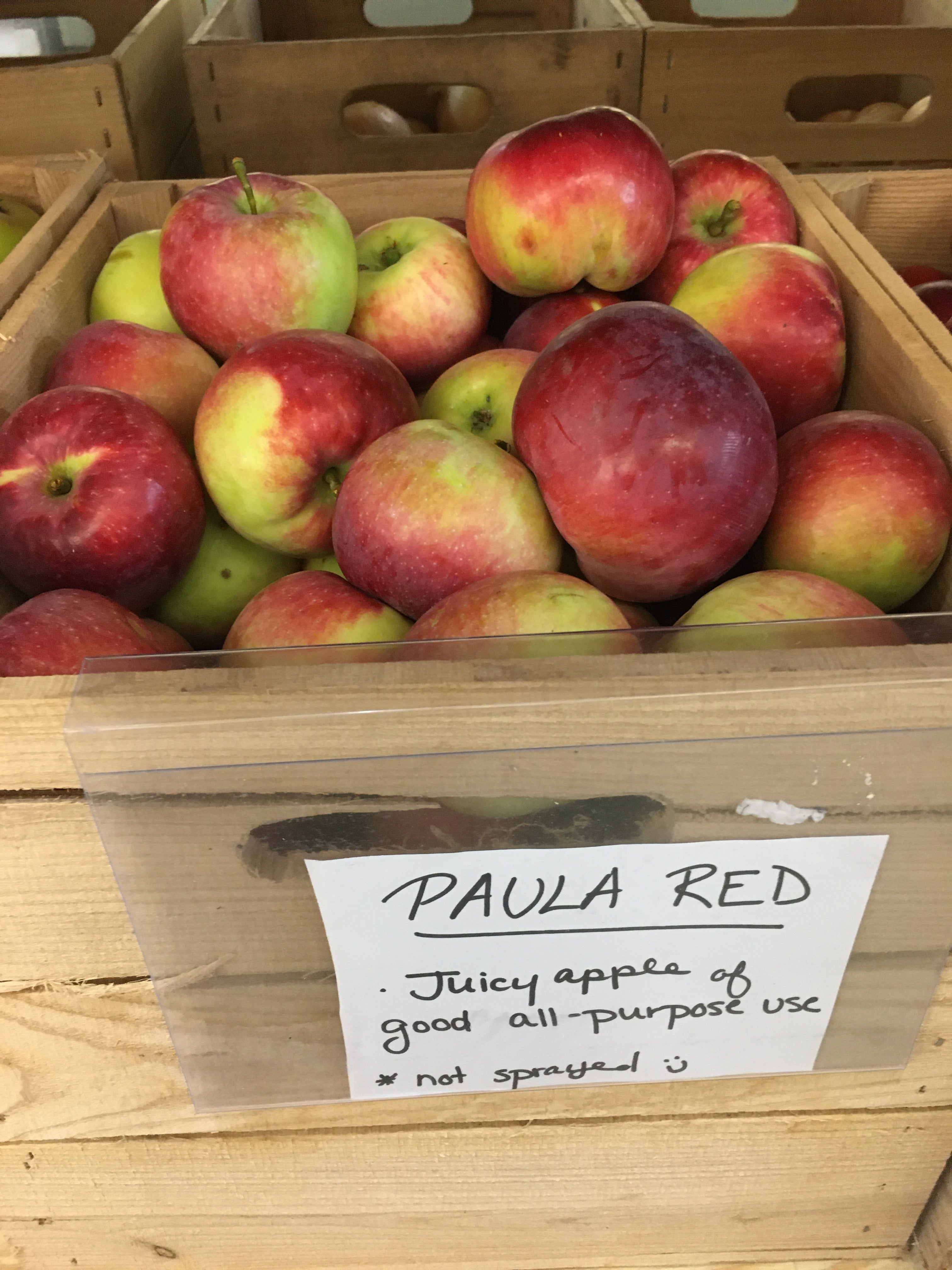 Paula Red Apple