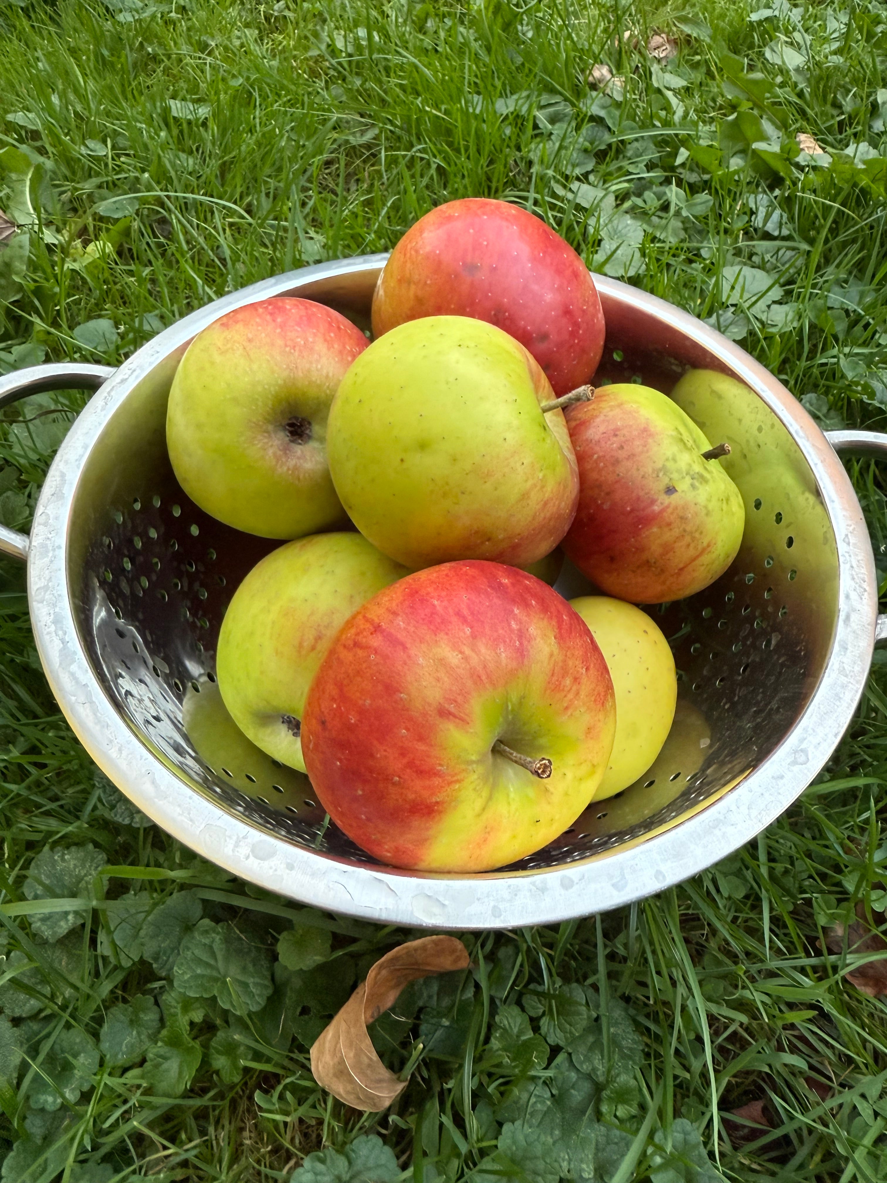 Smokehouse Apple