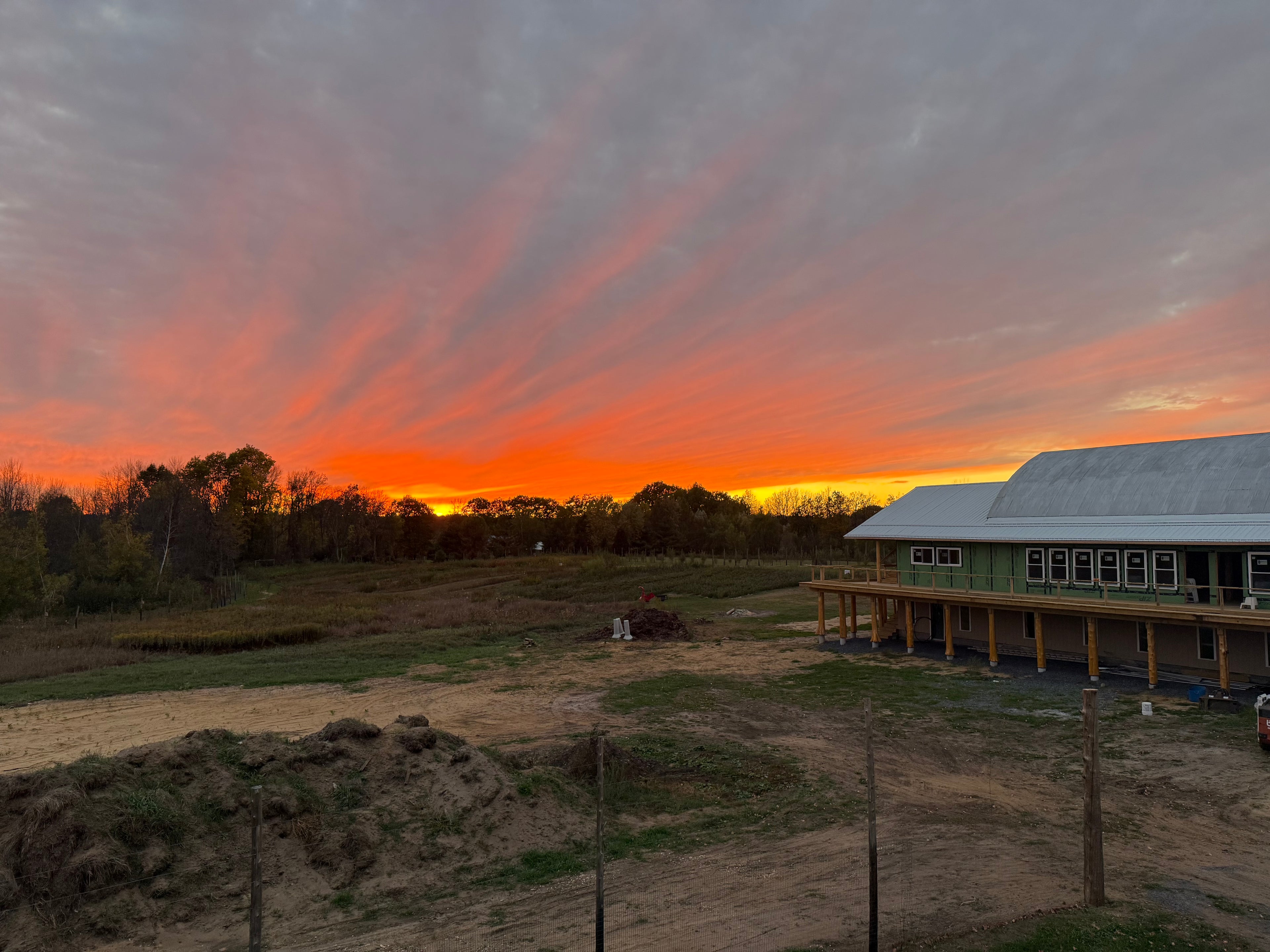 Aroostook Sunset Apple