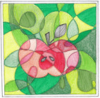 Striped Harvey Apple