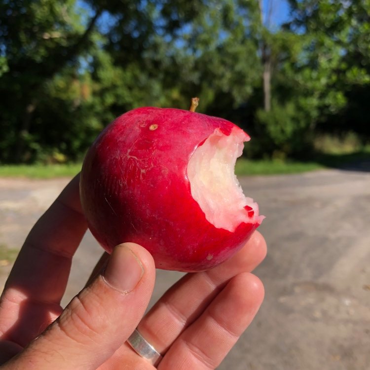 Atlas Apple