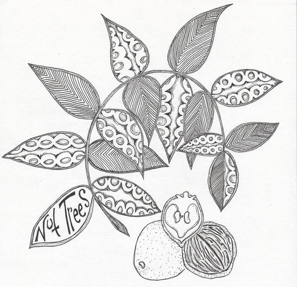 Nut Trees St. Lawrence Nurseries