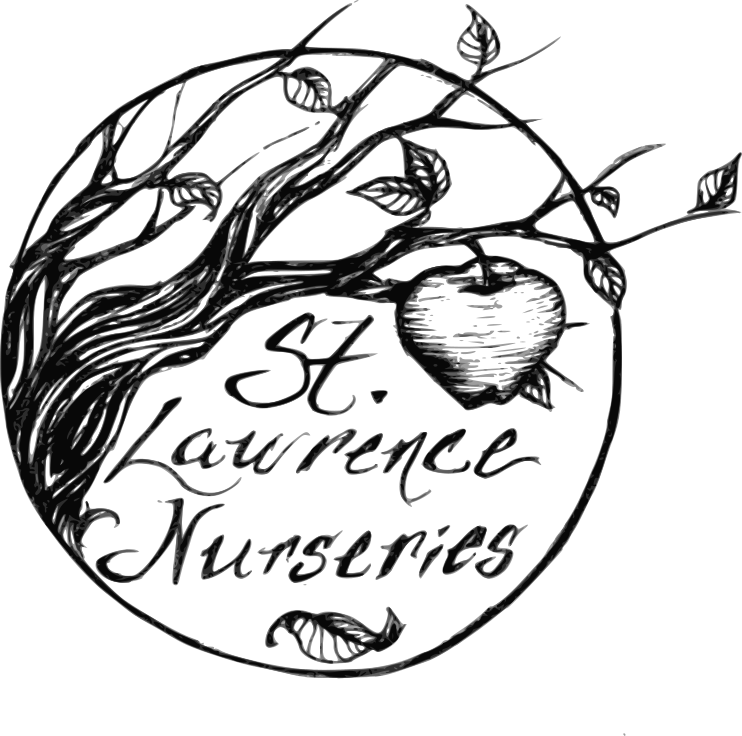 About us St. Lawrence Nurseries